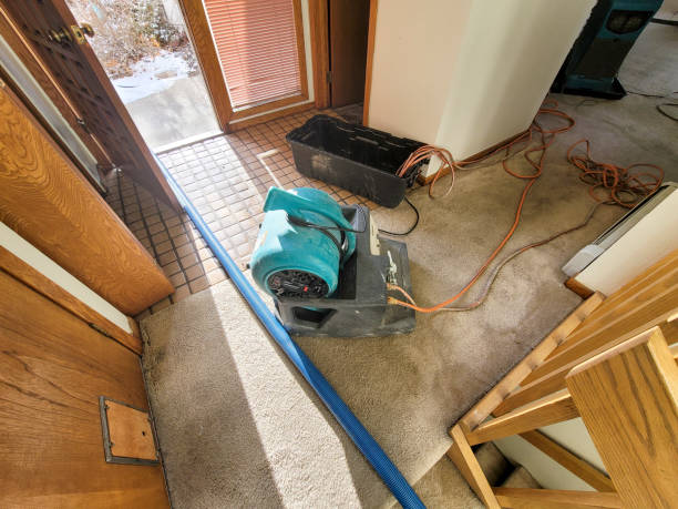 Best Water damage cleanup near me  in Avondale Estates, GA