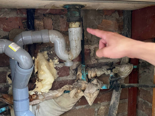 Best Water damage contractors near me  in Avondale Estates, GA