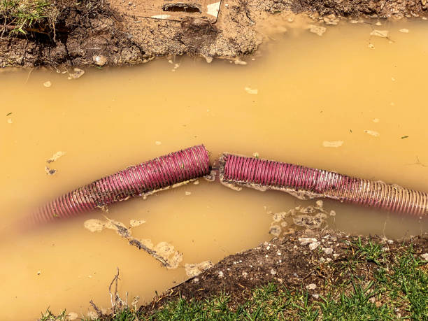 Best Professional water damage repair  in Avondale Estates, GA